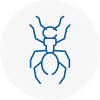 Ant Removals In Ingatestone