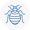 Bed Bug Extermination In Ingatestone