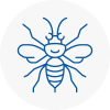 Ingatestone Hornet Nest Removals
