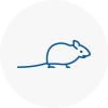 Mice Exterminators In Ingatestone