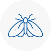 Moth Control Specialists In Ingatestone