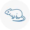 Rat Control Ingatestone