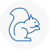 Ingatestone Rodent Removals