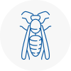 Ingatestone Wasp Nest Removal